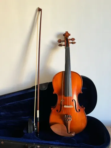 VIOLINO MARAVILHOSO 