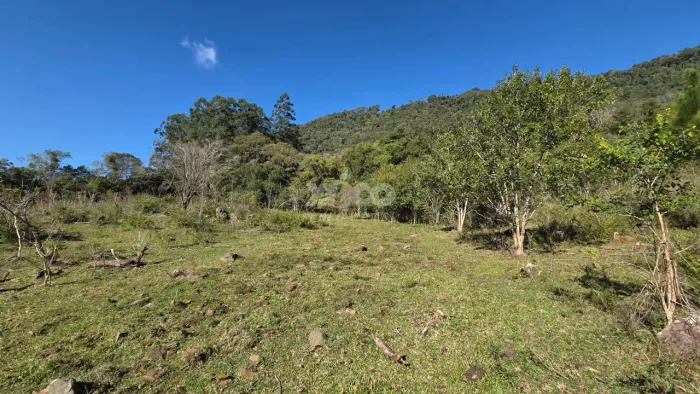 BELO SÍTIO COM BOA ÁREA APROVEITAVEL