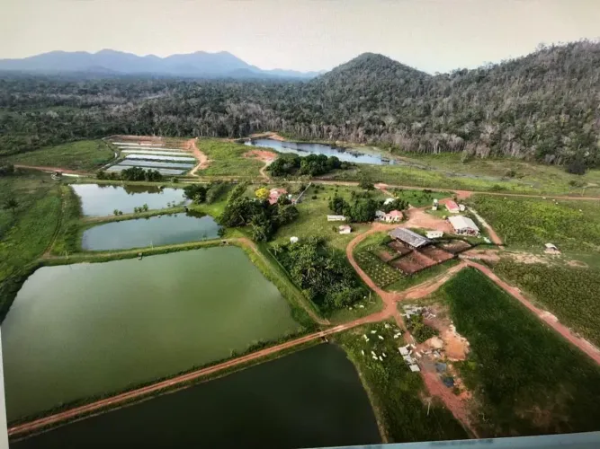 VENDO FAZERDA EM CANTÁ RORAIMA IMPERDIVEL