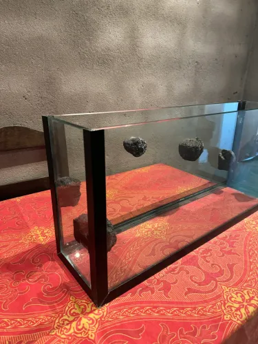 Aquário Ornamental 