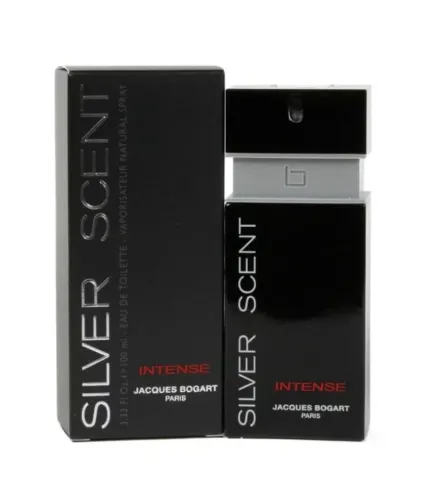 Perfume Silver Scent Intense