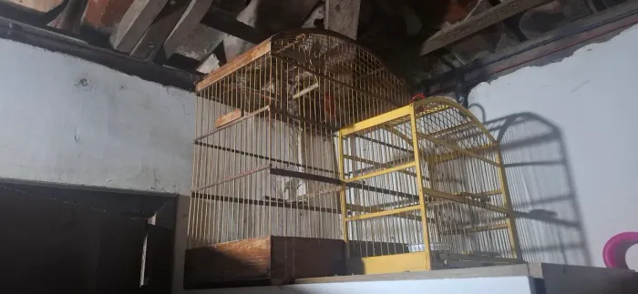 Vende-se 2 gaiola por 250