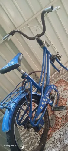 Bicicleta Antiga Ceci infntl (Quadro)