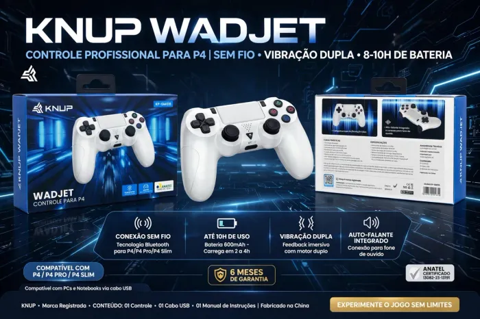 CONTROLE PS4