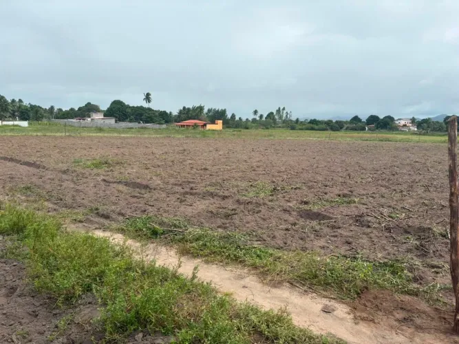  LOTE EM ZONA RURAL, PRÓXIMO À BR 230