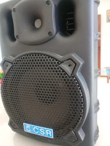 Caixa ativa CSR 1000 WHATS