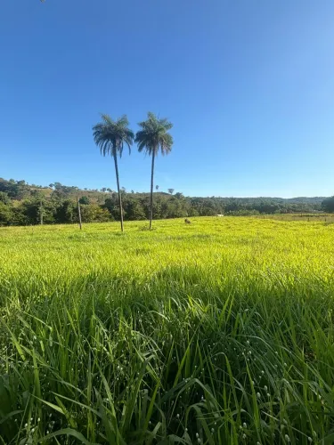 Chácara de 4,51 hectares à venda no Córrego Barreiro Aparecida do Rio Negro/TO