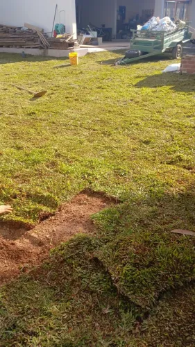 Grama São Carlos Natural - Apenas R$ 15/m² | Retire Hoje!