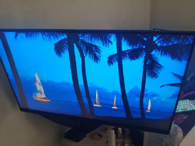 Monitor