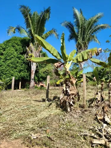 Lote de esquina