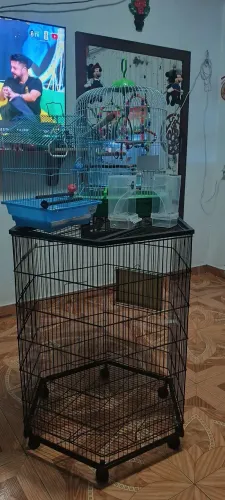 Viveiros e gaiolas com dois comedouros 