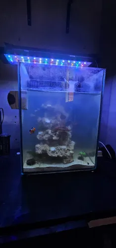 Aquario marinho completo 