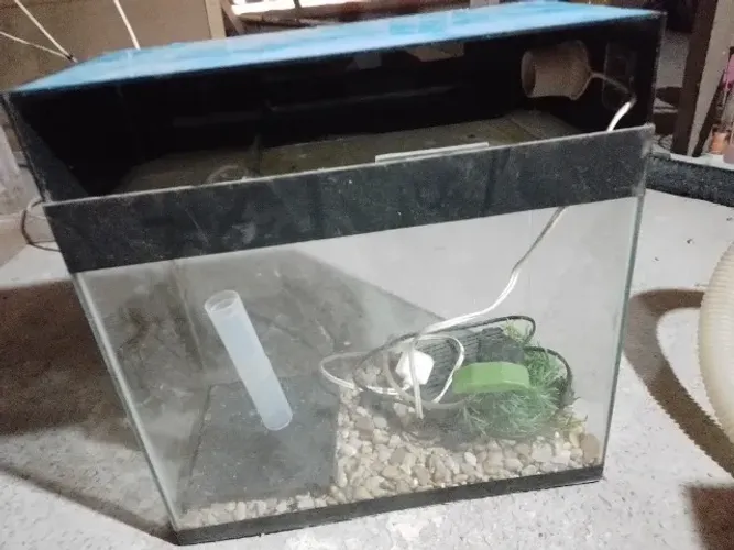 AQUARIO 50,00 REAIS