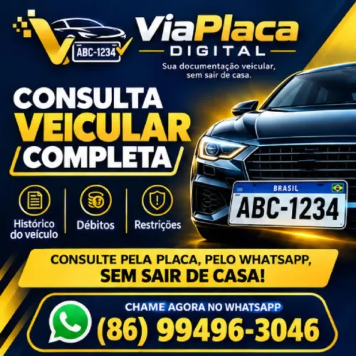 Faça você mesmo os Serviços de Despachante, de Veículos
