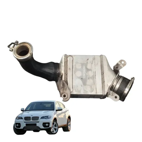 Intercooler Turbina Bmw X6 4.4 V8 Biturbo  2007 A 2012