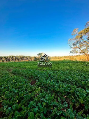 Fazenda à venda, 3 quartos, 1 suíte, 10 vagas, Chácaras Helou - Goiânia/GO