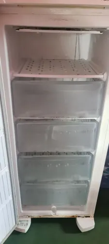 Freezer Electrolux