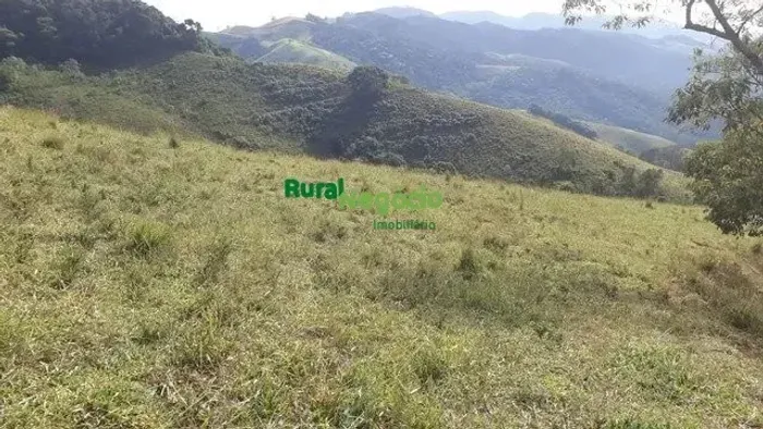 FAZENDA PARA PLANTIO DE OLIVEIRAS/ CAFÉ/ GADO  MARIA DA FÉ - MG