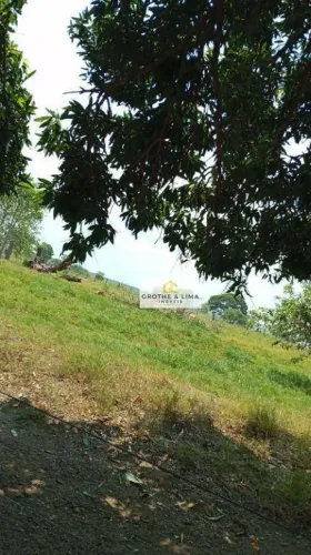 Vendo fazenda para lavoura no município de Lizarda/TO.