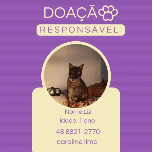 DOAÇÃO