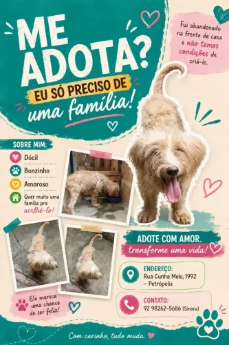 Adote um cachorro 