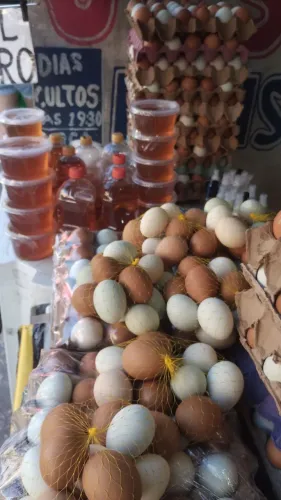 Vendo ovos de galinha caipira