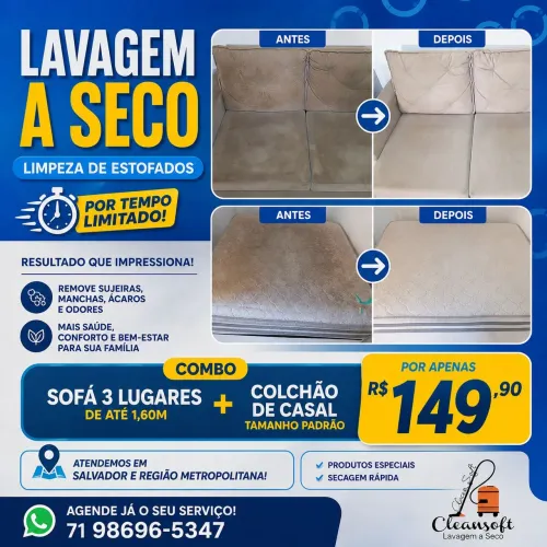 Lavagem a seco e limpeza de sofá.