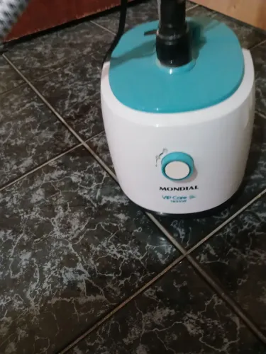 Passadeira a vapor 