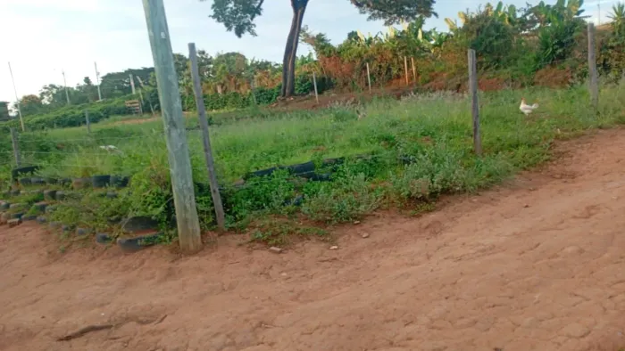 Terreno são thome das letras zap *