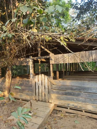 Vendo essa colônia em Porto Acre.