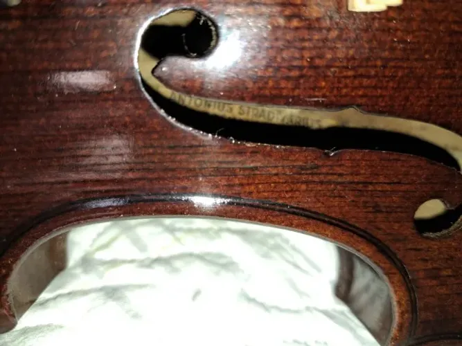 Violino
