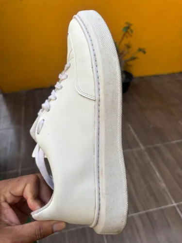 Tenis