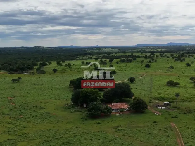 Fazenda 201 Alqueires (971 hectares) Araguapaz - GO