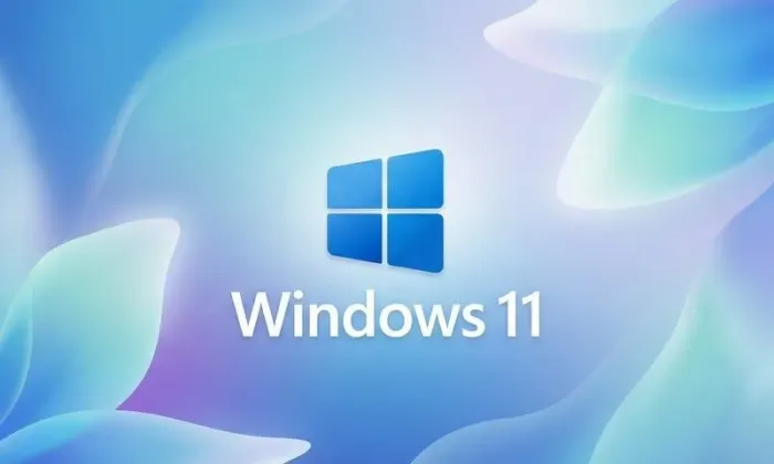 Windows 11 Lite (instalação)