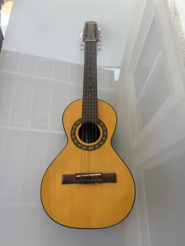 Viola 10 cordas Rozini