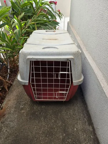 Caixa de Transporte para Cão GRANDE N°5