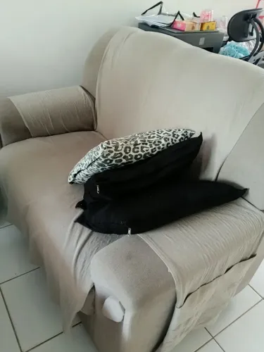 Sofá dois lugares na cor cinza ?
