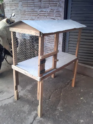 PRA SAIR HOJE VIVERO NOVO PRA CALOPISITAS E OUTROS ANIMAIS NÃO ENTREGO 