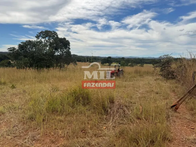 Fazenda 85 Alqueires (411,4 Hectares) Barro Alto - GO