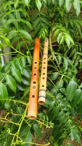 Flautas de Bambu 
