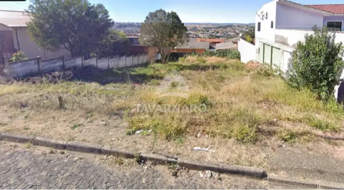 Terreno Padrão em Ponta Grossa