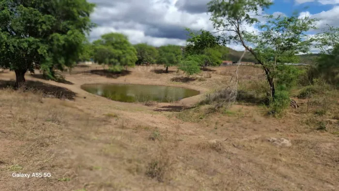 Lindíssima fazenda com casa sede, piscina, espaço gourmet,aguadas, poço e capim Itaberaba