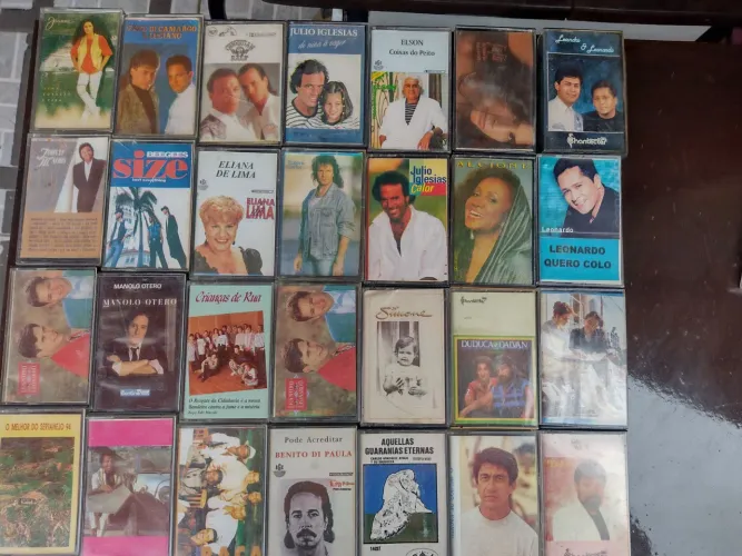 Lote de 28 fitas cassetes - Diversos artistas