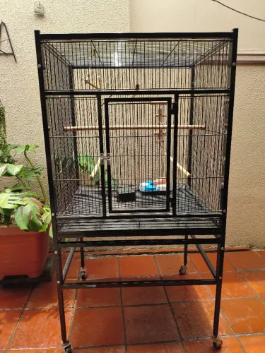 Gaiola