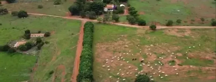 Baldim/MG - Fazenda de 1.552ha - R$15.000,00 cada hectare