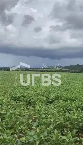 Fazenda, Municipio Vila Propicio, 535 alqueires, podendo dividir e fechar apenas 300 alque