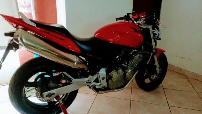Hornet carburada.