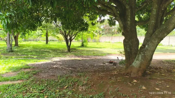 vendo ou troco  excelente chacara ponte alta norte escriturada 2.3 hectares,, oportunidade