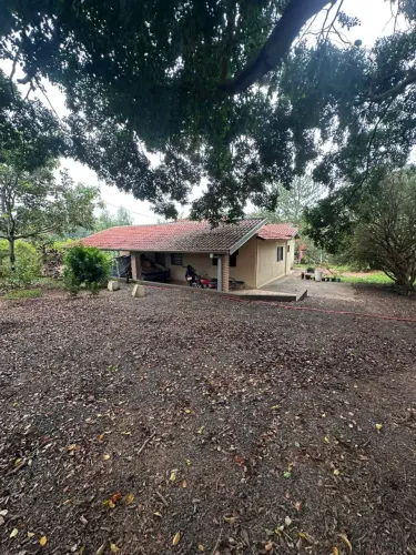 OPORTUNIDADE PARA INVESTIDORES  TANABI/SP     2,5 alqueires