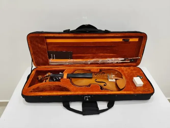 Violino 4/4 Eagle VE441 - Novo R$1190,00 - Parcelo até 21x cartão